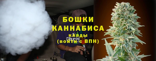 гидра Медногорск