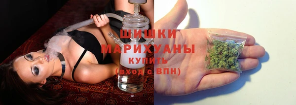 гидра Медногорск