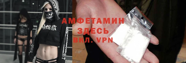 гашик Мегион