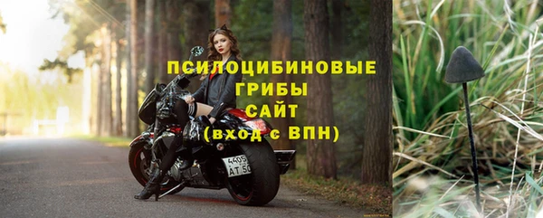гашик Мегион