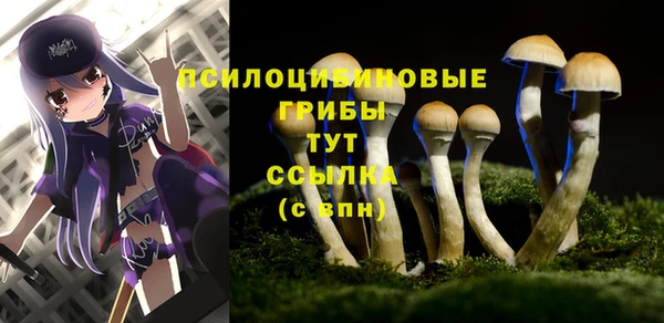таблы Михайлов