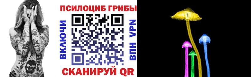 закладка  Елец  Псилоцибиновые грибы Psilocybine cubensis 