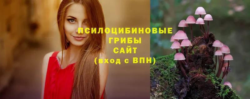 Галлюциногенные грибы ЛСД  Елец 